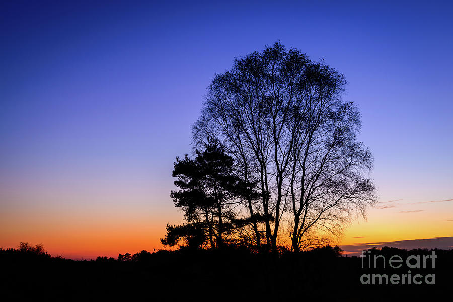 Evening Glow Photograph By Johan Vanbockryck