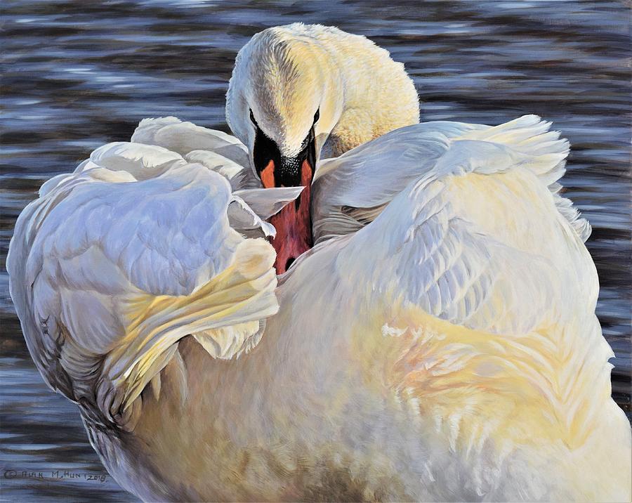 Evening Glow - Swan Photograph by Alan M Hunt