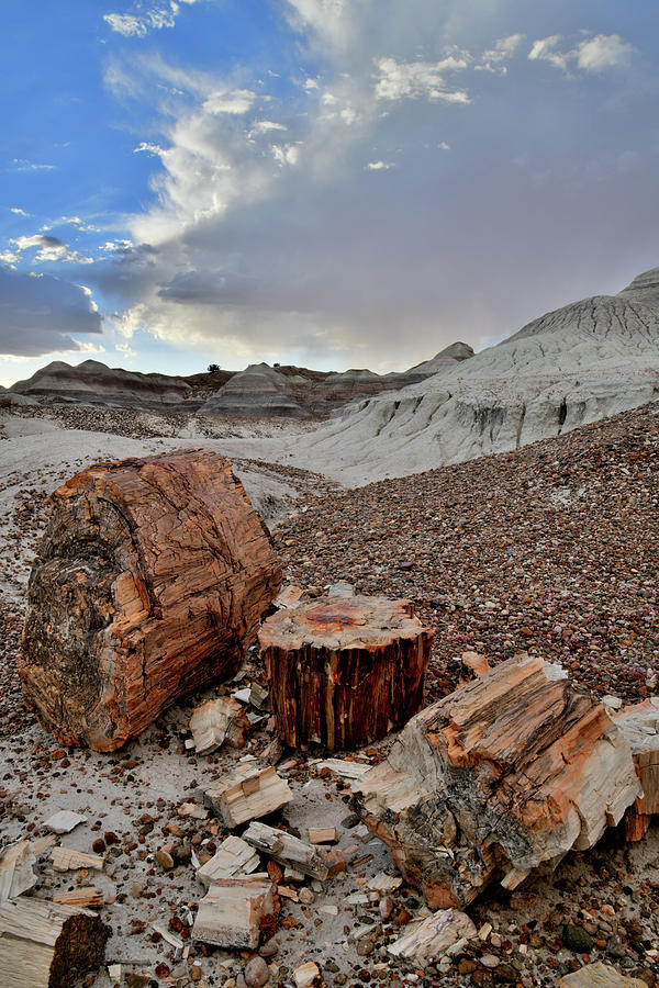 Evening in Blue Mesa Basin of Petrified Forest NP Photograph by Ray Mathis
