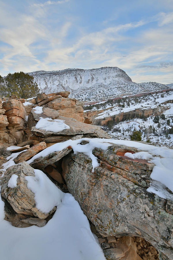 Evening in Snow Covered Colorado National Monument Photograph by Ray Mathis