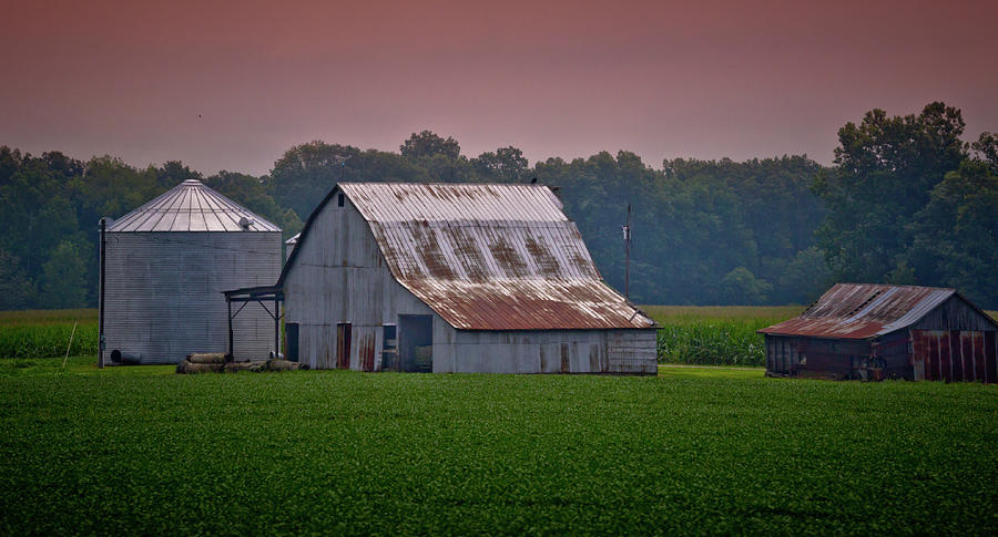 Evening Light in Western Pennsylvania Photograph by Linda Unger