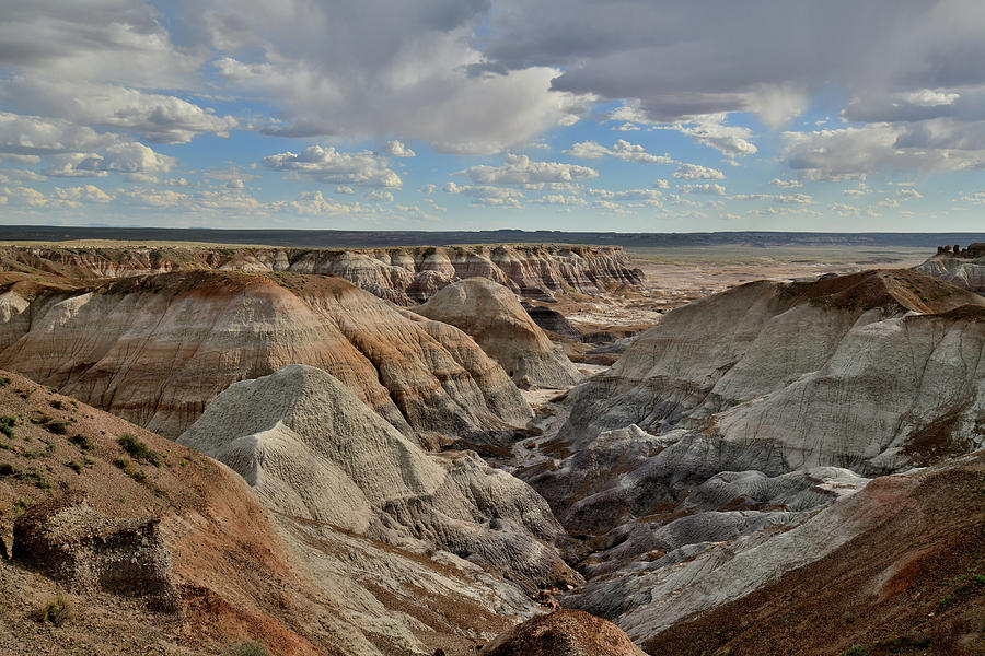 Evening Light on Blue Mesa in Petrified Forest Photograph by Ray Mathis