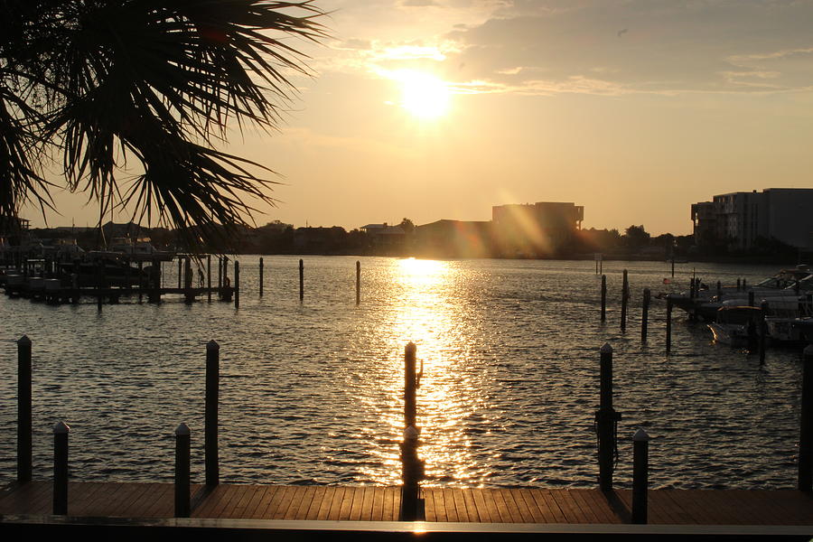 Evening Light by WhiteoakorganicsLLC Gallery Evening Light by WhiteoakorganicsLLC Gallery