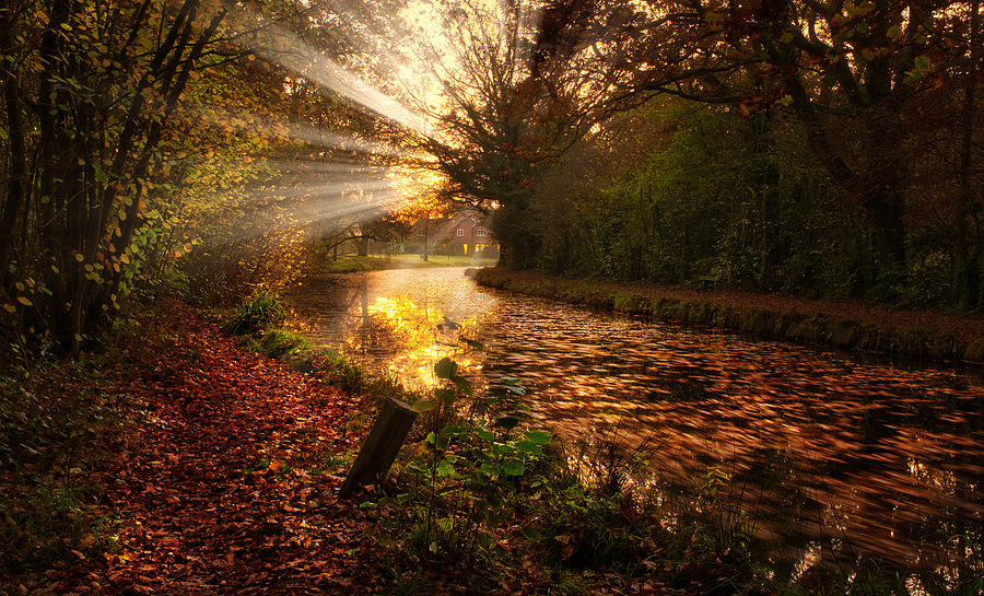 Evening Mist Photograph by Peter Davidson