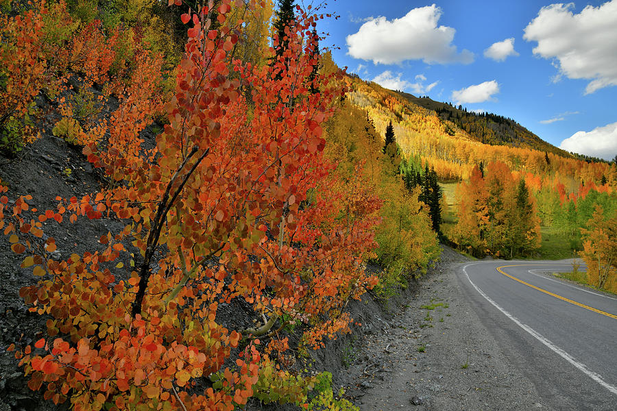 Evening on Fall Colors along Million Dollar Highway Photograph by Ray Mathis
