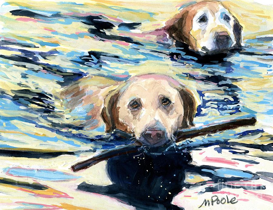 Golden Retriever Photograph - Evening Paddle by Molly Poole