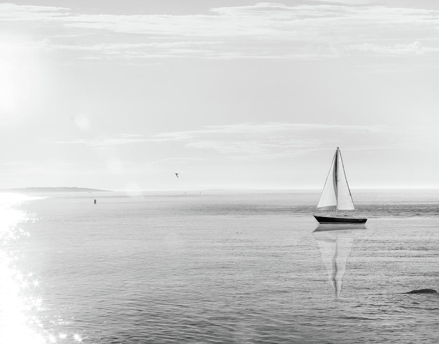 black and white sailboat painting