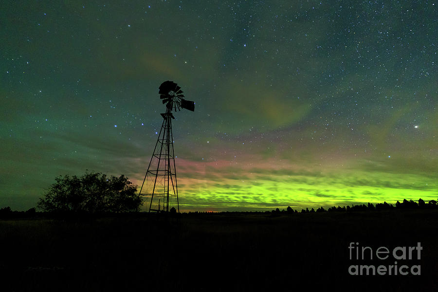 Evening Serenade by Beve Brown-Clark Photography Evening Serenade by Beve Brown-Clark Photography