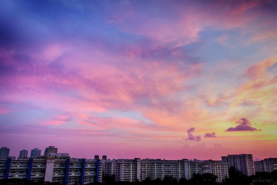 Evening Skies Photograph by Gb Tan