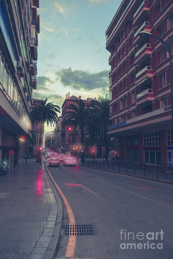 Spring Photograph - evening street in Malaga by Ariadna De Raadt