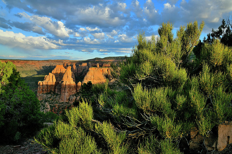 Evening Sun on Colorado National Monument Photograph by Ray Mathis
