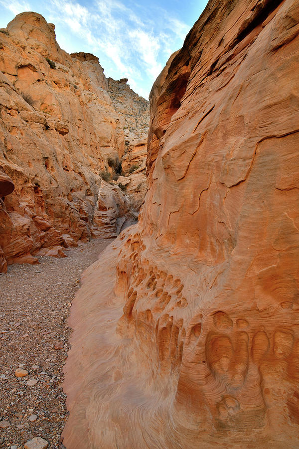 Evening Walk in Little Wild Horse Canyon Photograph by Ray Mathis