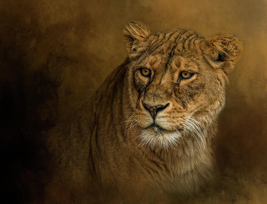 Ever Watchful by Kelley Parker Ever Watchful by Kelley Parker