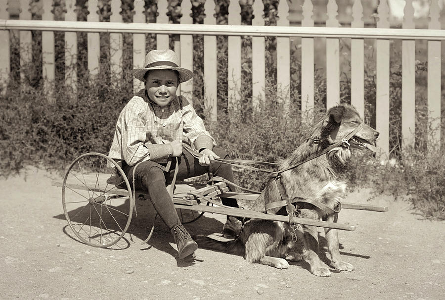 Everett and His Dog Photograph by Jayson Tuntland