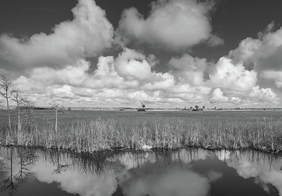 Everglades Photograph by Bill Martin