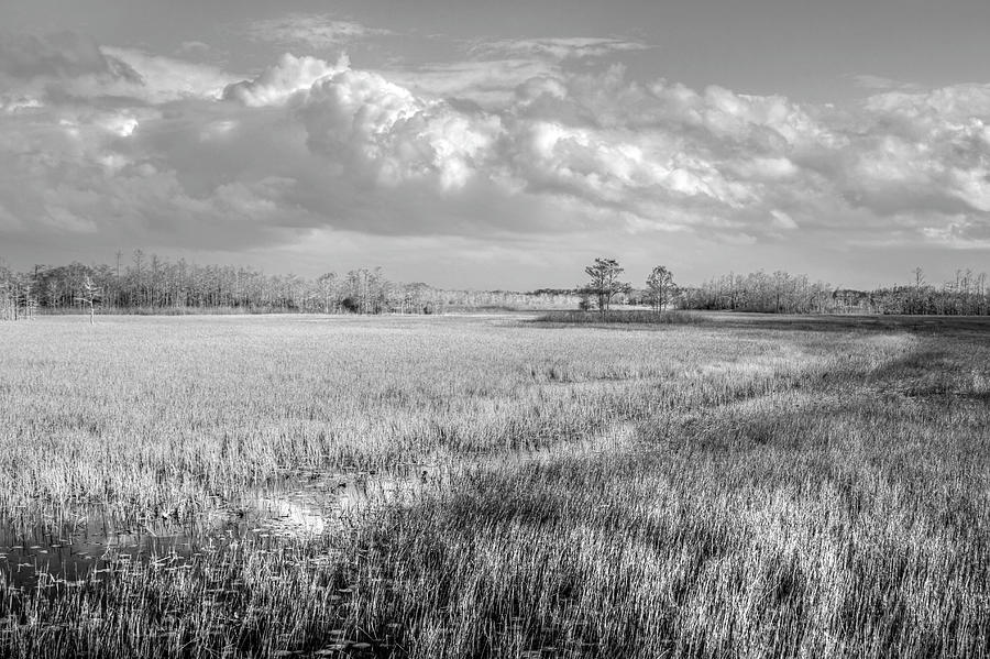 Everglades Clouds in Black and White  Photograph by Debra and Dave Vanderlaan