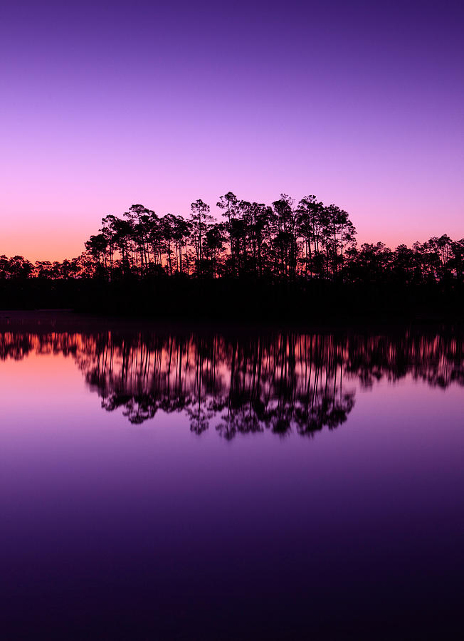 Everglades Florida Photograph by Thepalmer