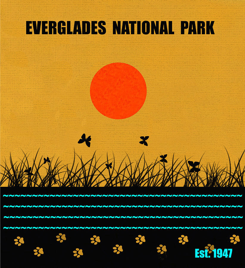 Everglades N. P. M series Mixed Media by David Lee Thompson