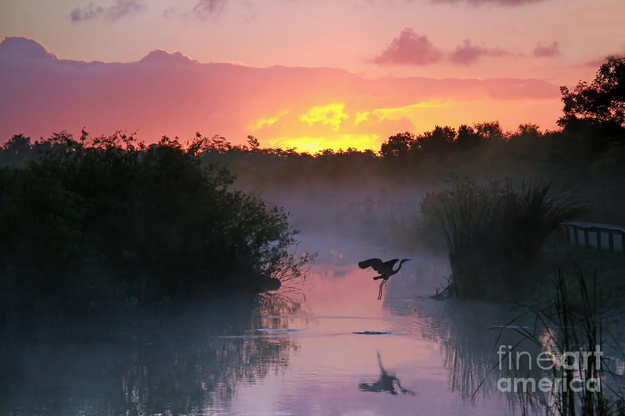 Sunrise Photograph - Everglades National Park At Sunrise by Brian Lasenby Sunrise Photograph - Everglades National Park At Sunrise by Brian Lasenby
