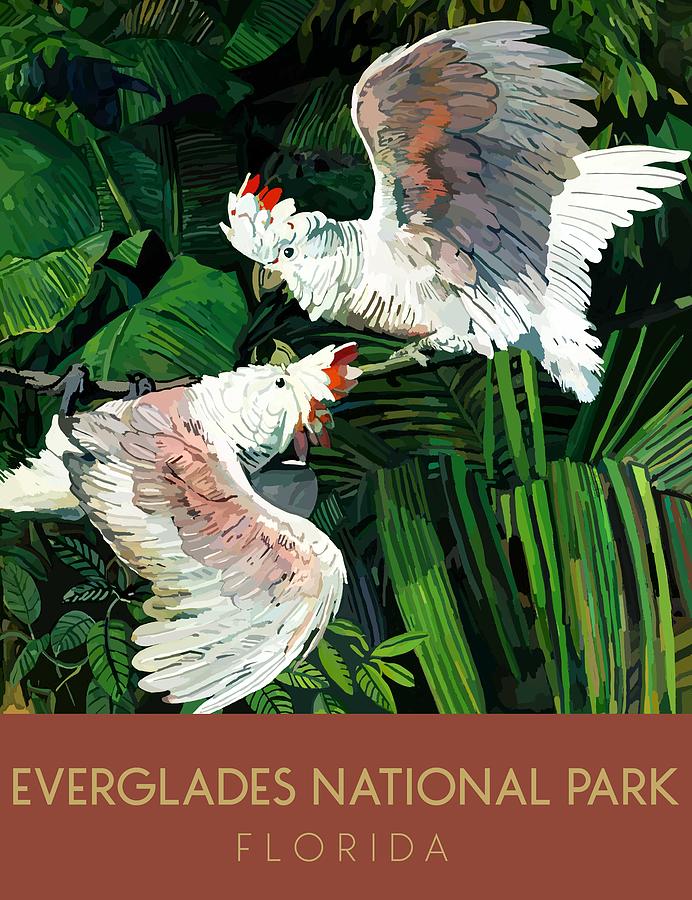 Everglades National Park Drawing by Julius Moessel