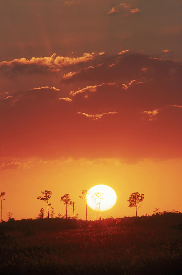 Everglades National Park Photograph by Michael Lustbader