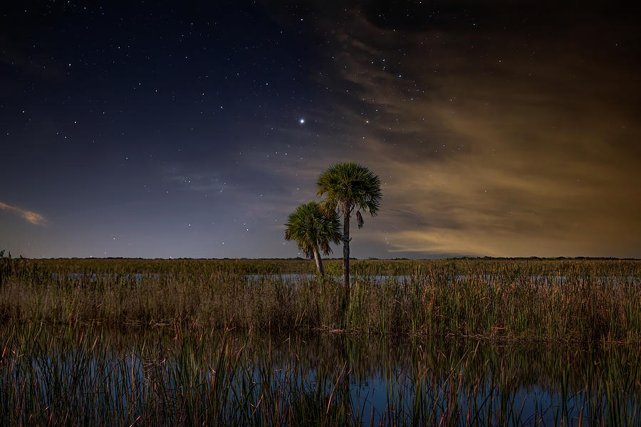 Everglades Nights Photograph by Mark Andrew Thomas