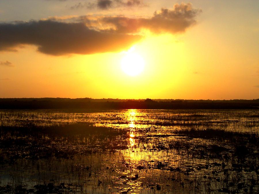 Everglades Sunset  Photograph by Lindsey Floyd