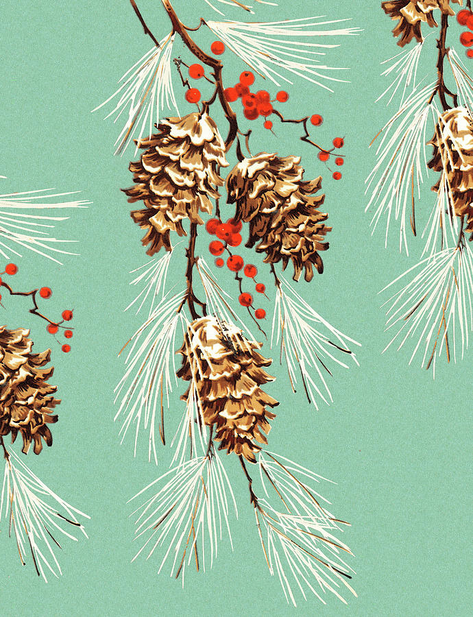 Christmas Drawing - Evergreen Bough with Pinecones by CSA Images