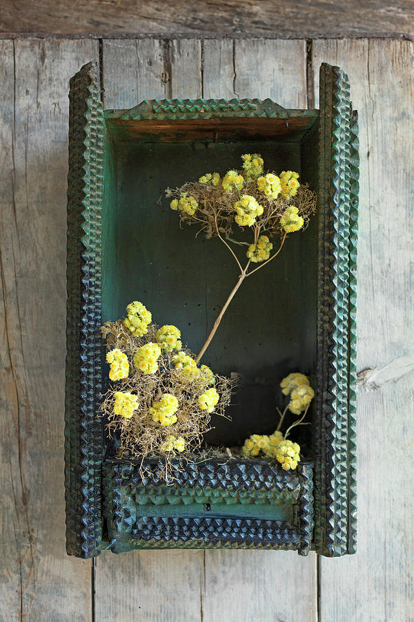 Everlasting Flowers Arranged In Dried Valerian Seed Heads Photograph by Sabine Zimdahl