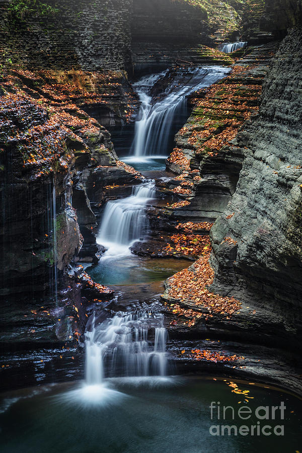 Fall Photograph - Every Teardrop Is A Waterfall by Evelina Kremsdorf
