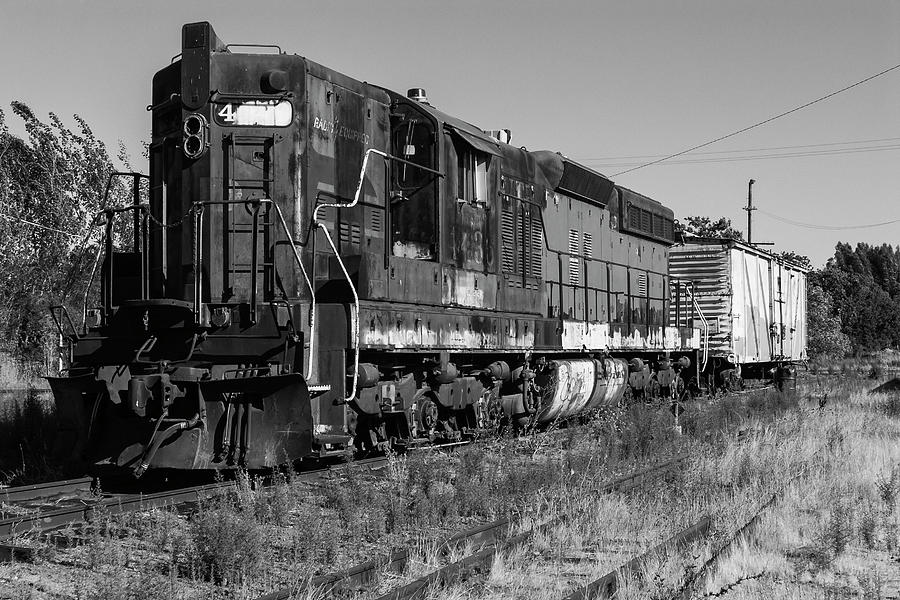 Ex-Southern Pacific 4436 Bloody Nose Photograph by Rick Pisio