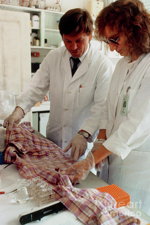 Examining Clothing In Forensic Laboratory Photograph by Peter Menzel/science Photo Library