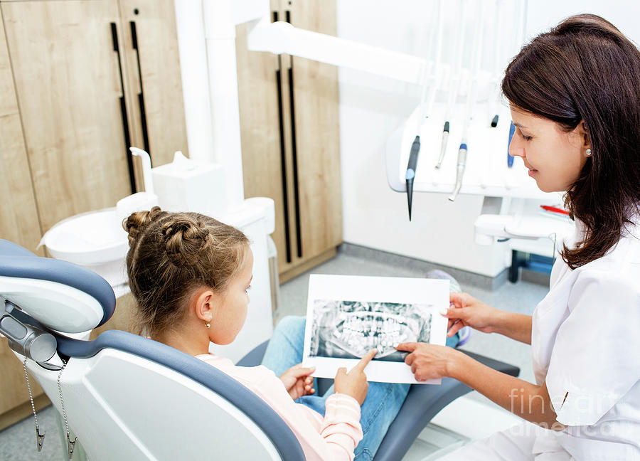 Examining Dental X-ray Photograph by Peakstock / Science Photo Library ...