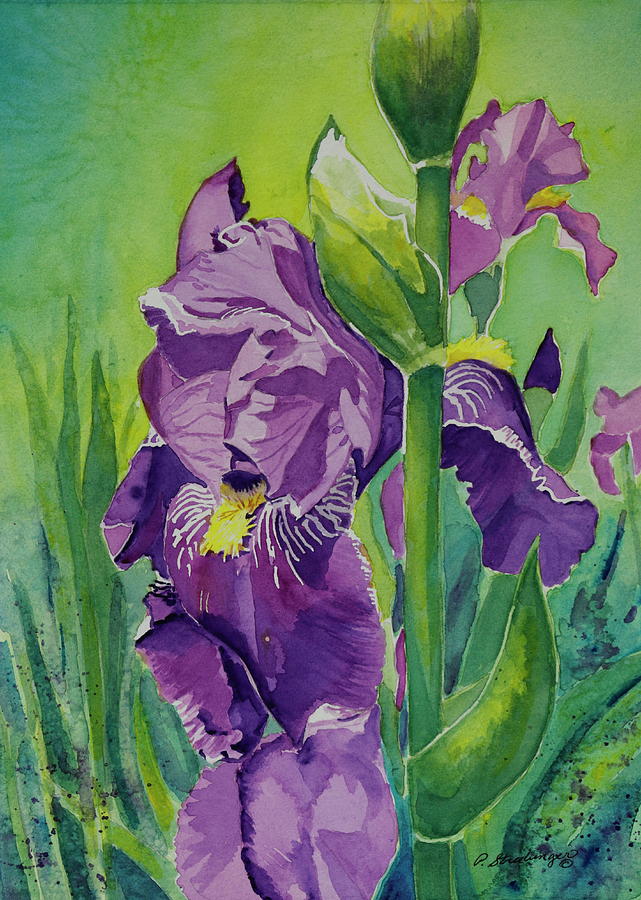 Iris Painting - Excellent Beauty by Patty Strubinger