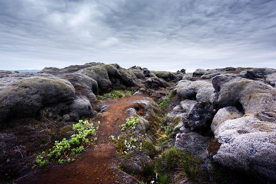 Nature Photograph - Exceptional Iceland Landscape With Lava by Ivan Kmit