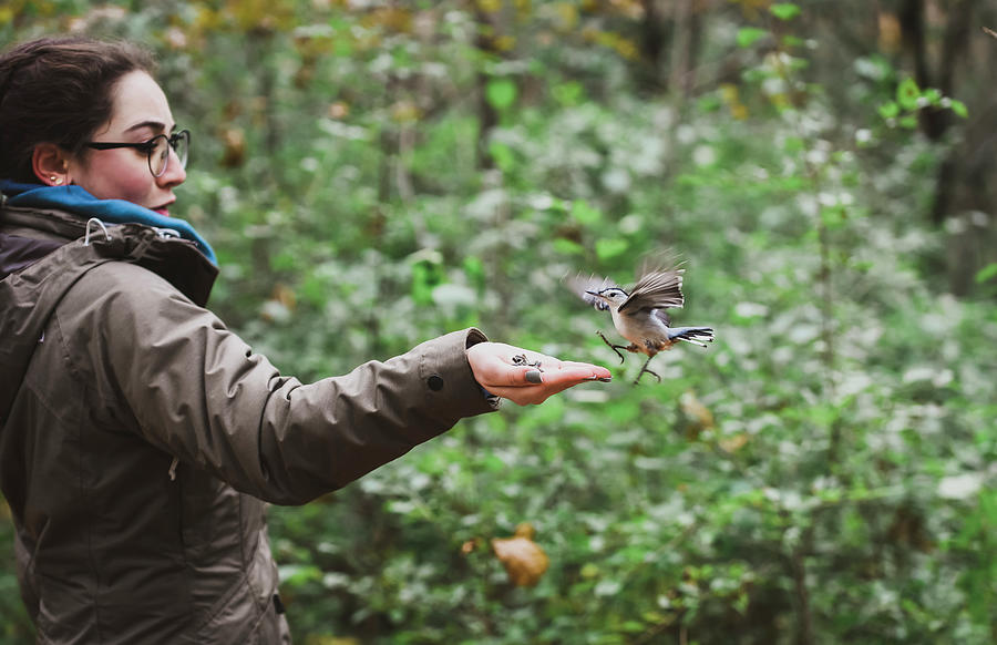 Tree Photograph - Excited Girl Feeding Seeds To White Breasted Nuthatch By Plants In Forest by Cavan Images