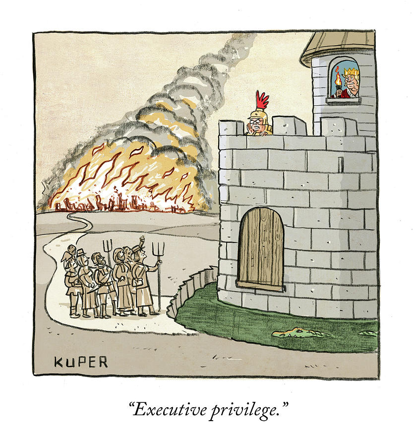 Executive Privilege Drawing by Peter Kuper