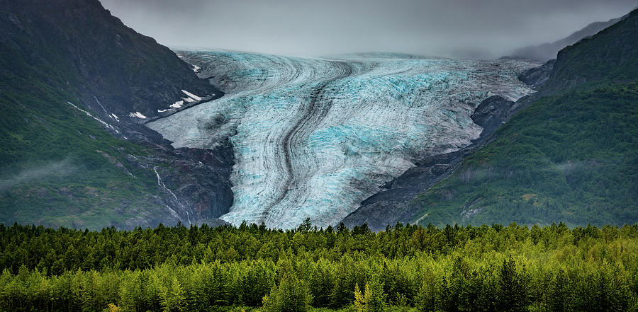 Exit Glacier Photograph by David Downs