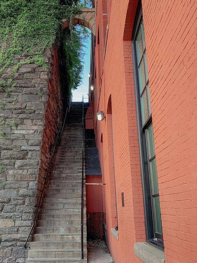 Exorcist Stairs Beauty Photograph by Lora J Wilson
