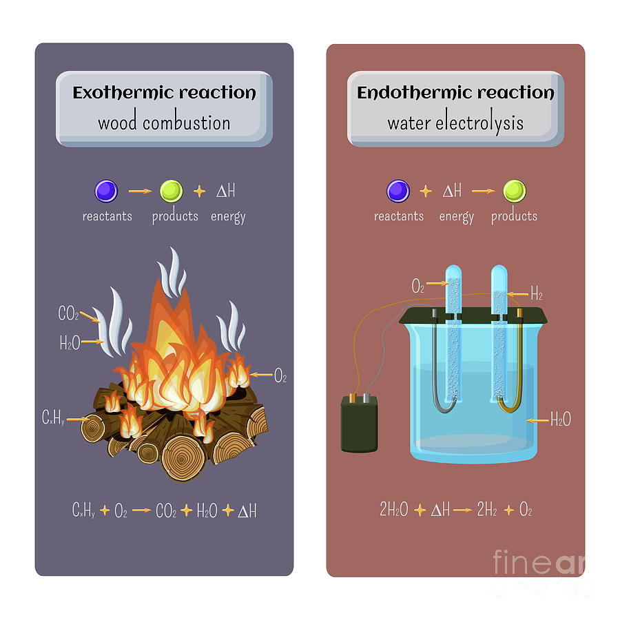 Exothermic And Endothermic Chemical Reactions Photograph by Inna Bigun/science Photo Library