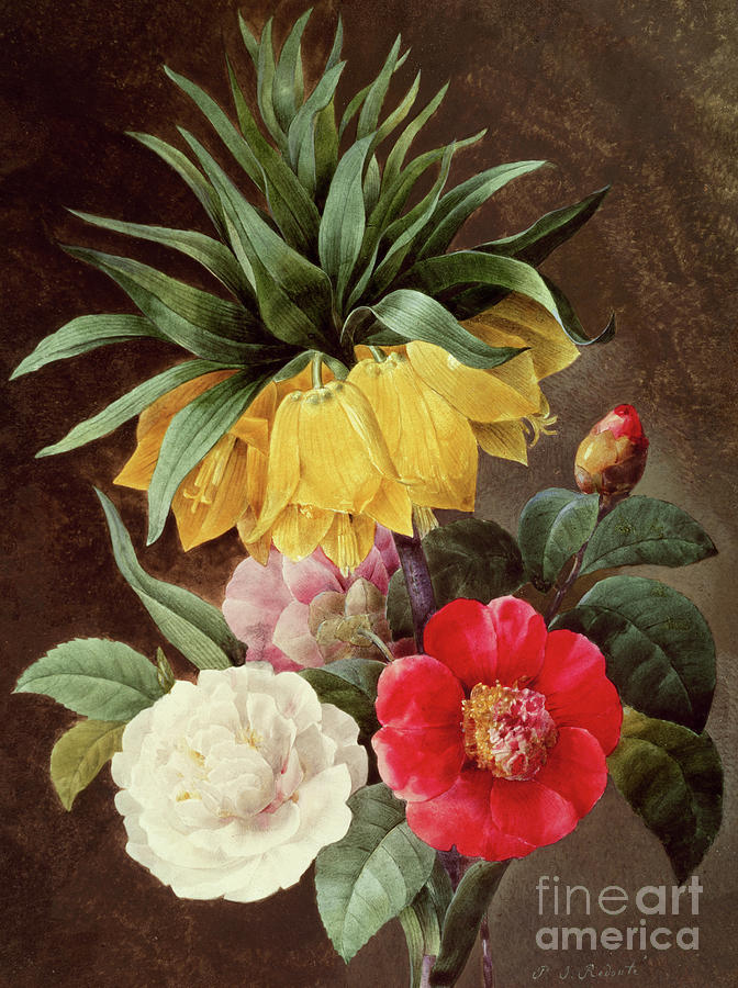 Exotic Flowers Painting by Pierre Joseph Redoute