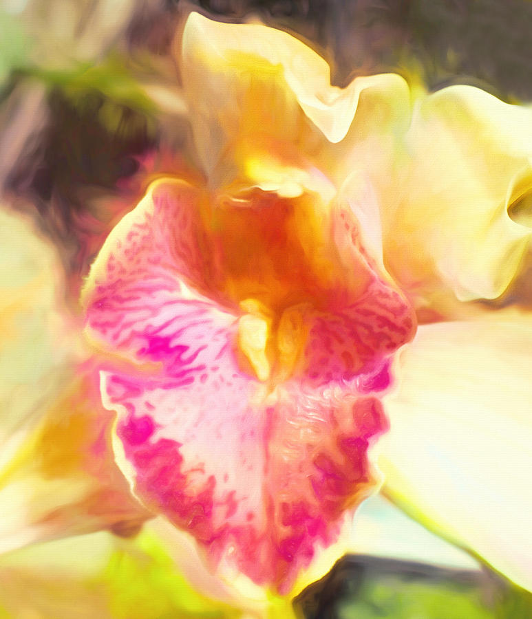Exotic Orchid  Digital Art by Susan Hope Finley
