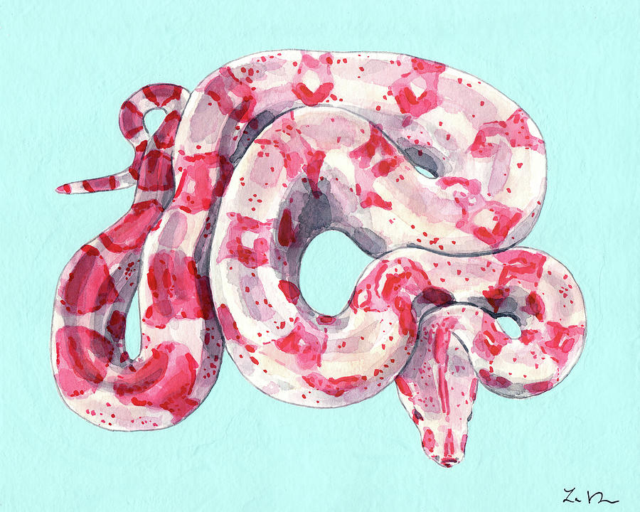 Snake Painting - Exotic Pink Pattern Snake on Blue by Laura Row