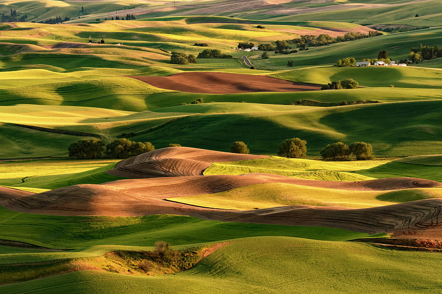 Expansive View Of Palouse Farming Photograph by Adam Jones - Pixels