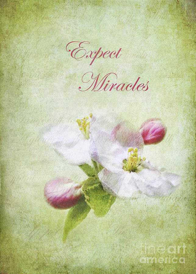 Expect Miracles Photograph by Kathi Mirto