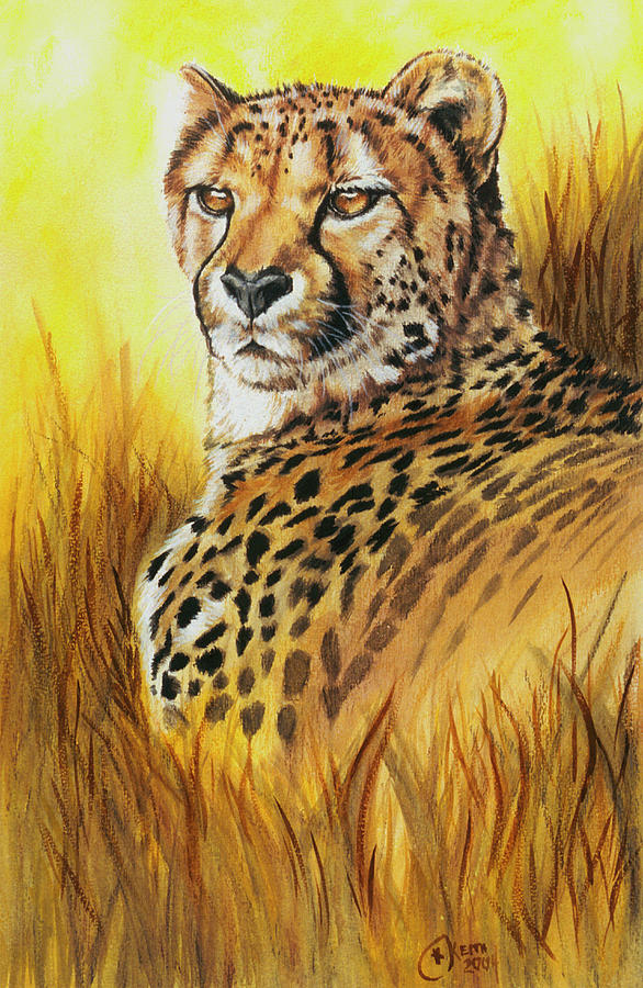 Cheetah Painting - Expeditions by Barbara Keith