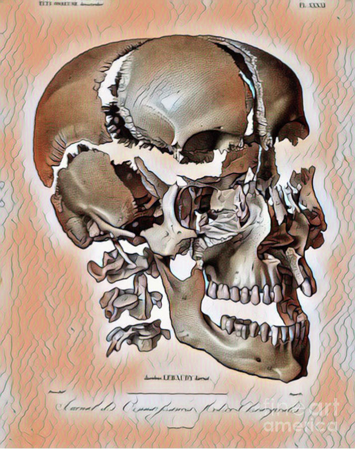 Skull Digital Art - Exploding Skull by Jackie MacNair