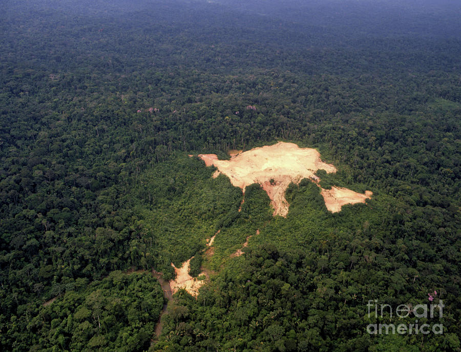 Exploratory Oil Well In The Amazonian Rainforest Photograph by Dr Morley Read/science Photo Library