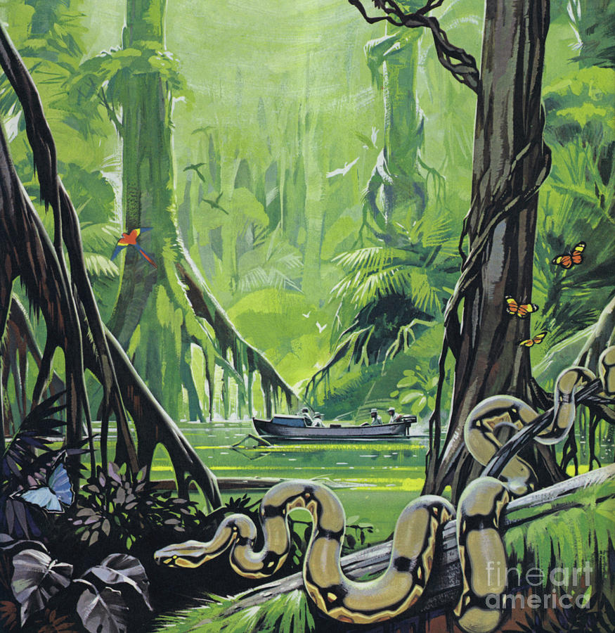 Python Painting - Exploring the river Amazon by Angus McBride