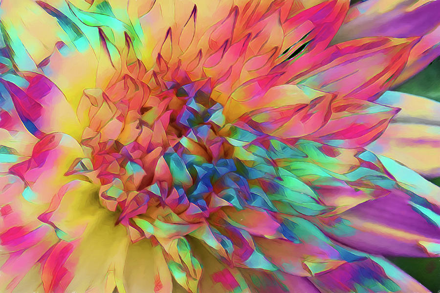 Abstract Photograph - Explosion  by Marcia Colelli